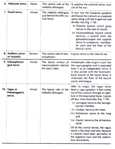 Origin and Distribution of the Cranial Nerves