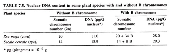 Nuclear DNA Content