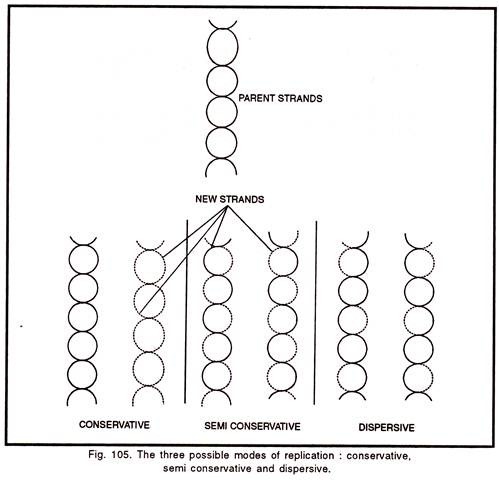 Three possible modes of replication