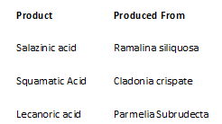 Formation of New DNA Strands