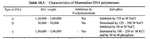 Characteristics of Mammalian DNA Polymerases