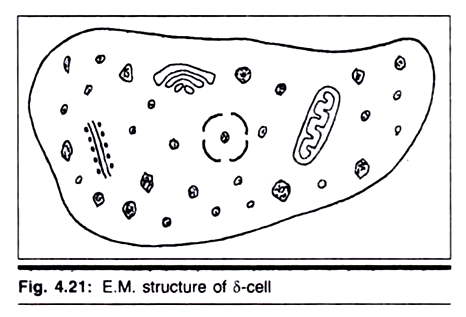 Transgenic Plants Generated in Various Crops