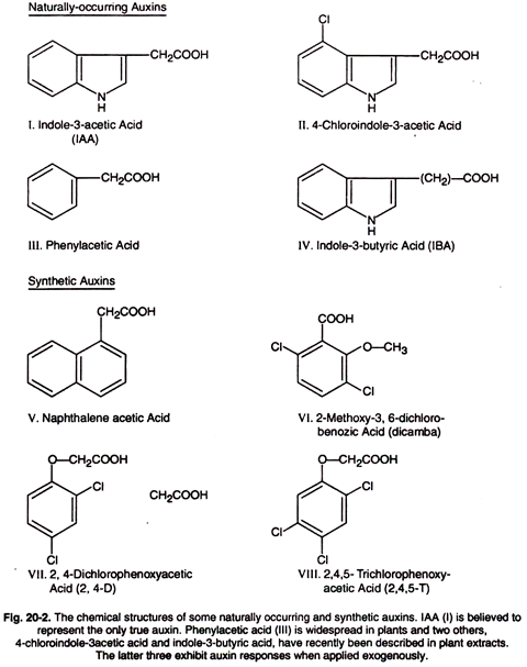 Chemical Structure