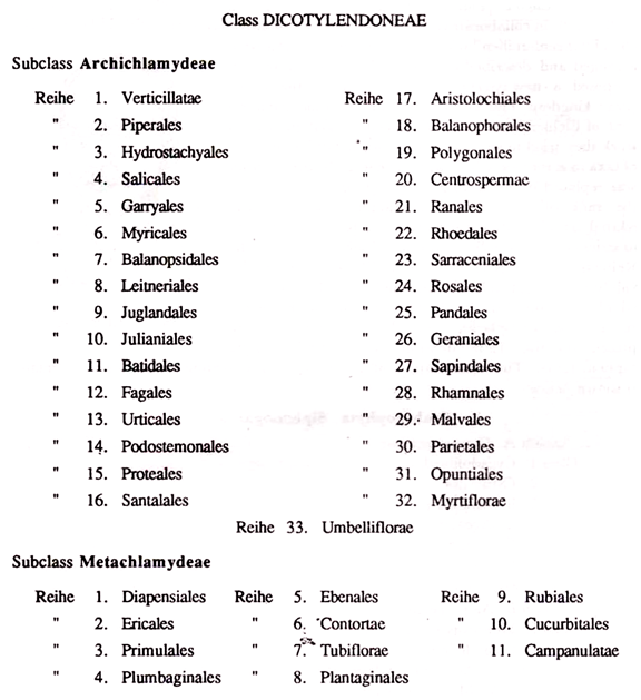 Embryophyta Siphonogama