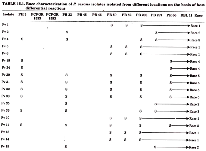 Race Characteristics of P. Vexans Isolated from Different Location on the Basis of Host