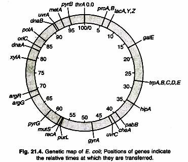 Some important enzymes present in the plasma membrane