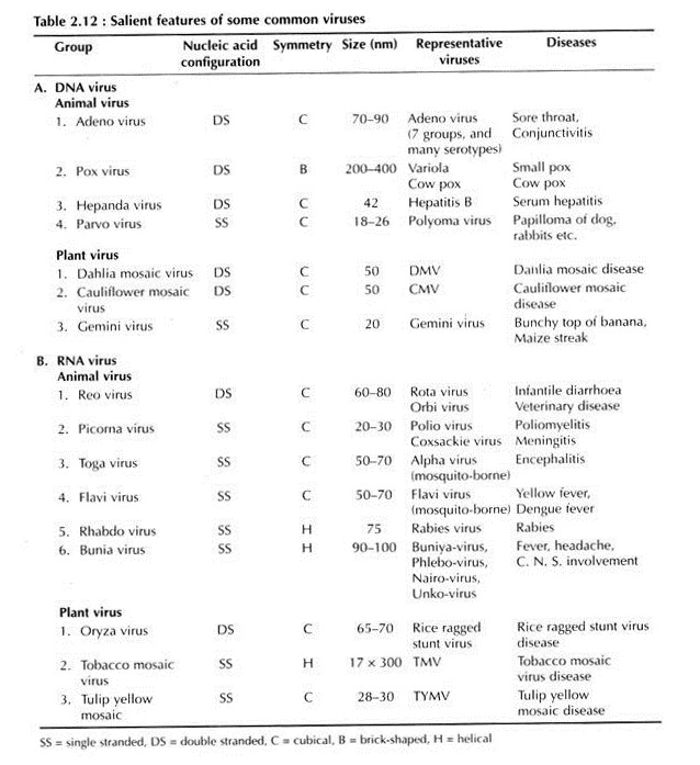 Salient Features of Some Common Viruses