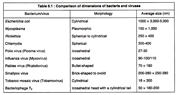 Comparison of Dimensions of Bacteri and Viruses