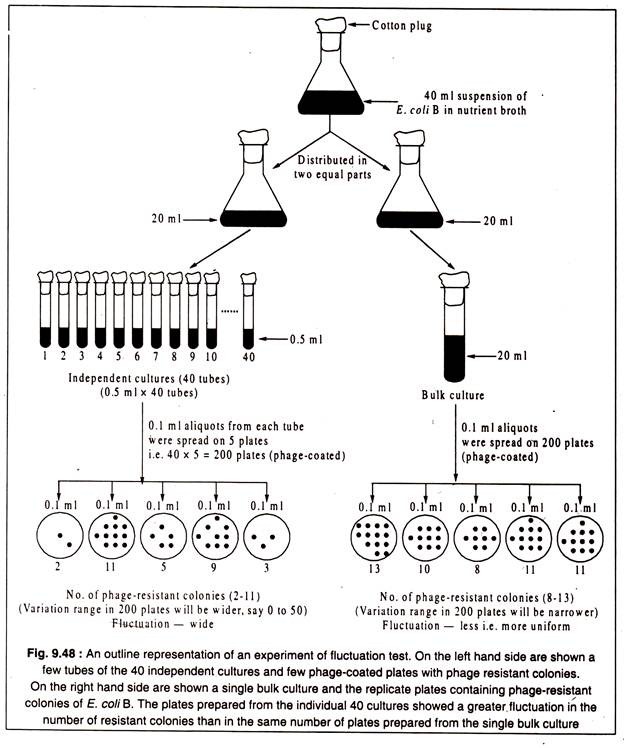 Experiment of Fluctuation Test