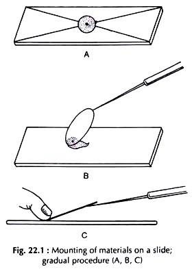 Mounting of Materials on a Slide