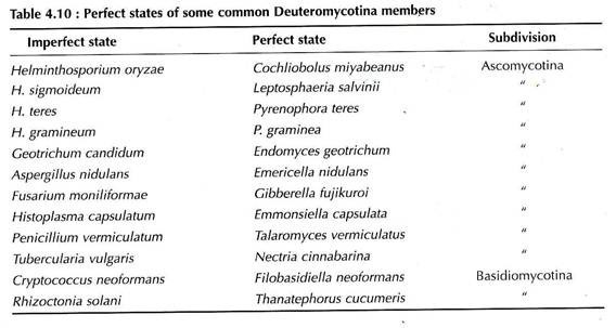 Perfect state of some common deutermycotina members