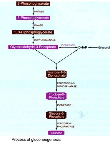 Four Major Classes of Treatment for Genetic Diseases