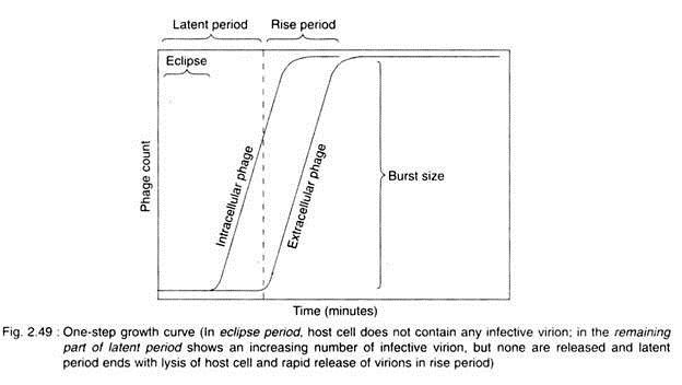 One-Step Growth Curve