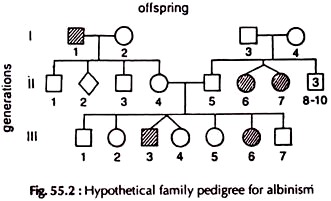 Hypothetical Family Pedigree for Albinism