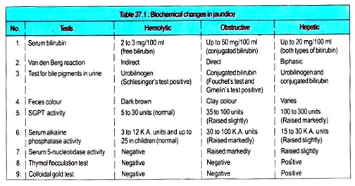 Biochemical Changes in Jaundice