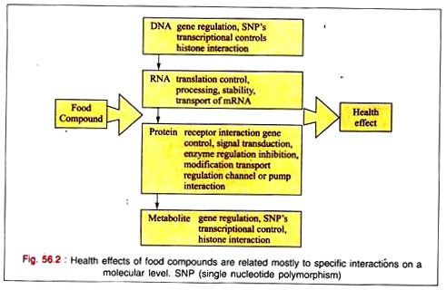 Health Effects of Food Compounds