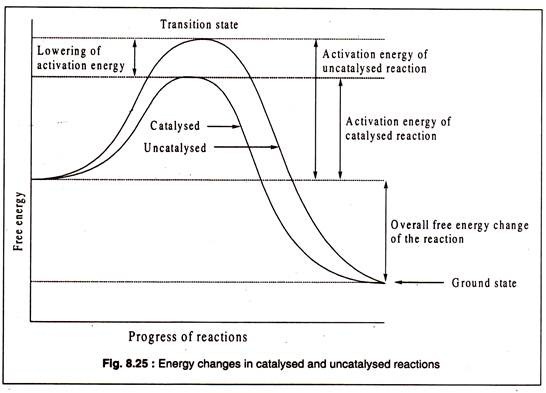 Energy Changes in Catalysed and Uncatalysed Reactions