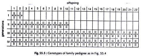 Genotypes of Family Pedigree