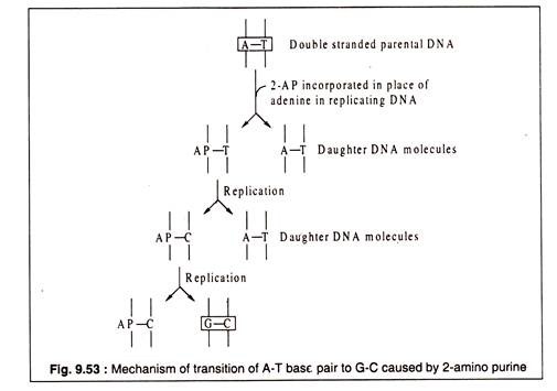 Mechanism of Transition