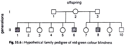 Hypothetical Family Pedigree