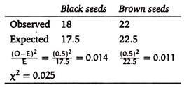 Black and Brown Seeds
