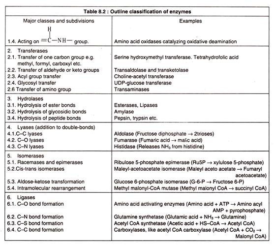 Outline Classification of Enzymes 