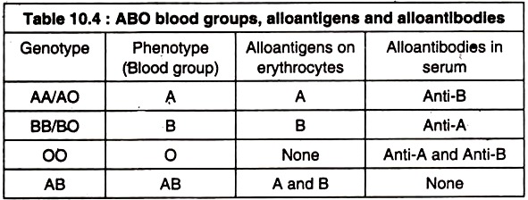 ABO Blood Groups