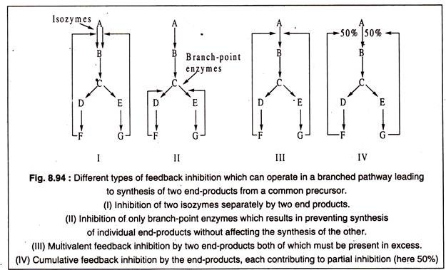 Different types of feedback inhibitions 