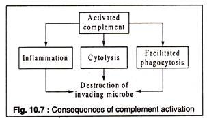 Consequences of Complement Activation