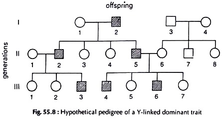 Hypothetical Pedigree of a Y-Linked Dominant Trait