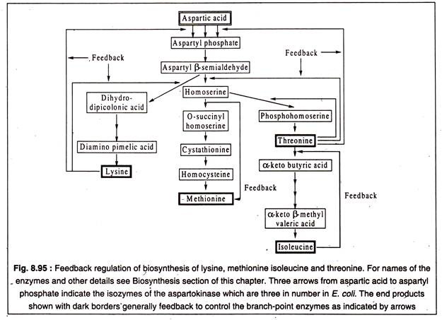 Aspartic acid family and aromatic amino acids