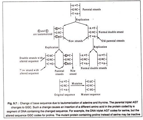 Change of Base Sequence due to Tautomerization