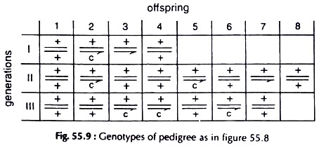 Genotypes of Pedigree