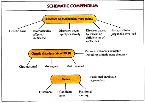 Schematic Compendium