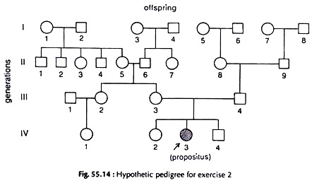 Hypothetic Pedigree for Exercise