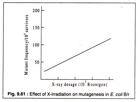 Effect of X-Irradiation on Mutagenesis in E. Coli B/r