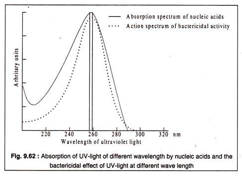 Absorption of UV-Light