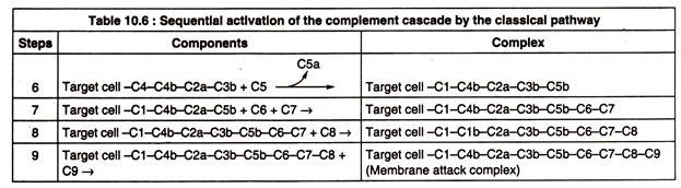 Sequential Activation