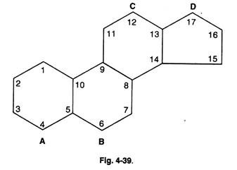 Calvin-Benson Cycle