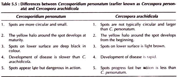 Difference Between Cercosporidium Personatum (Earlier Known as Cercospora Personata) and Cercospora Arachidicola