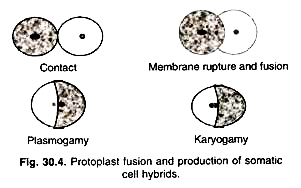 Different types of algae