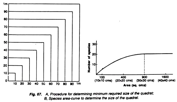 Procedure and Species Area-Curve