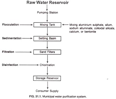 Municipal water purification system