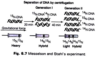 Messelson and Stahi's Experiment