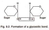 Formation of a Glycosidic Bond