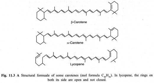 Various steps showing protocols for somatic embryogenesis in carrot