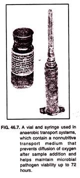 A viral and syringe used in anaerobic transport systems 