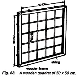 Wooden Quadrat of 50X50 cm