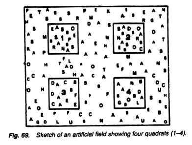 Sketch of an Artificial Field