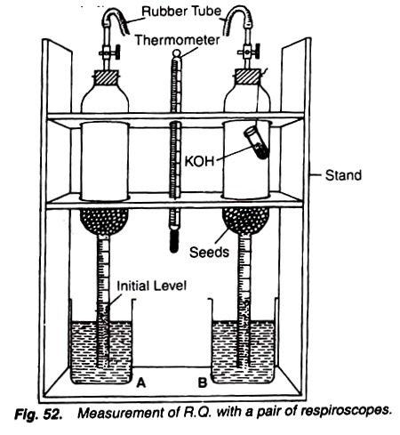 Measurement of R.Q with a pair of respioscopes